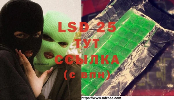 СК Белая Холуница