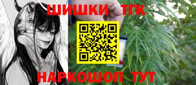стаф Будённовск