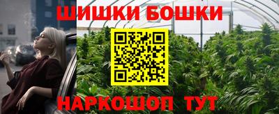 стаф Будённовск