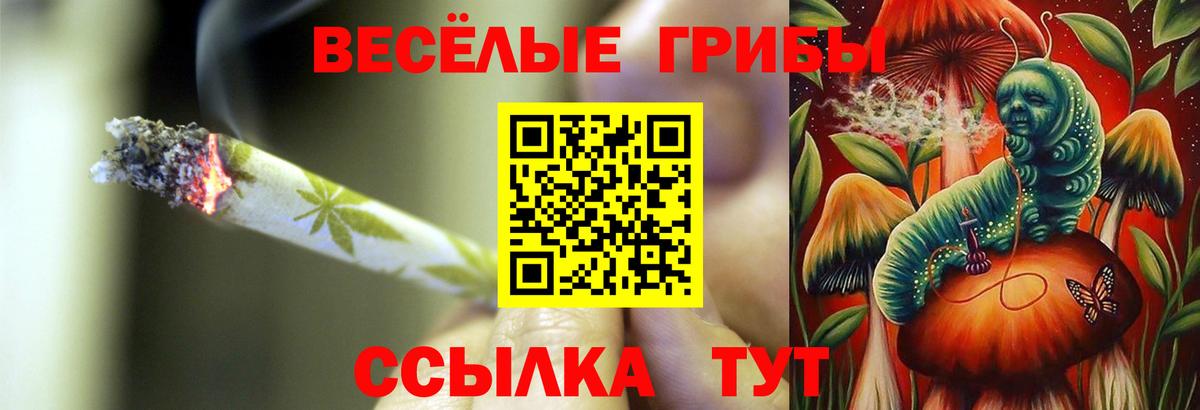 Галлюциногенные грибы GOLDEN TEACHER  Ефремов  Псилоцибиновые грибы ЛСД 